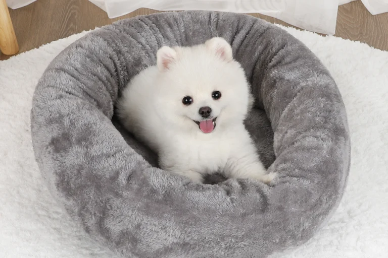 box pet dryer