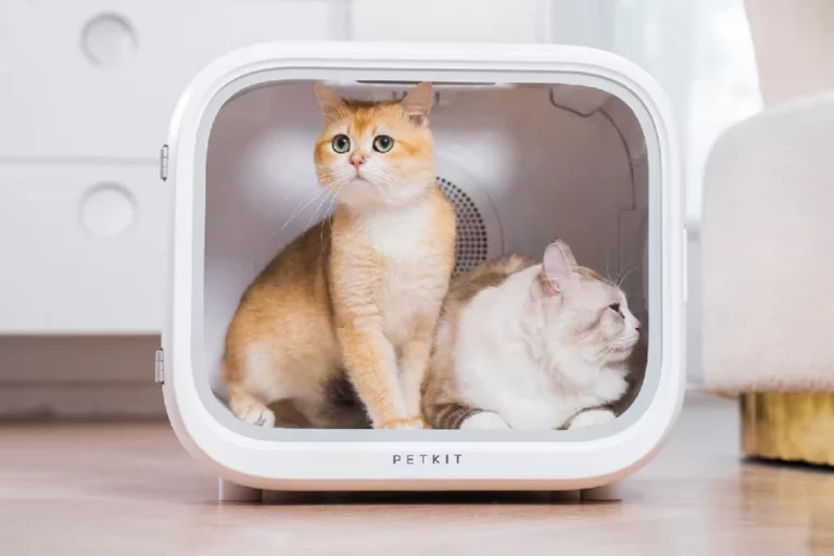 cat hair drying box